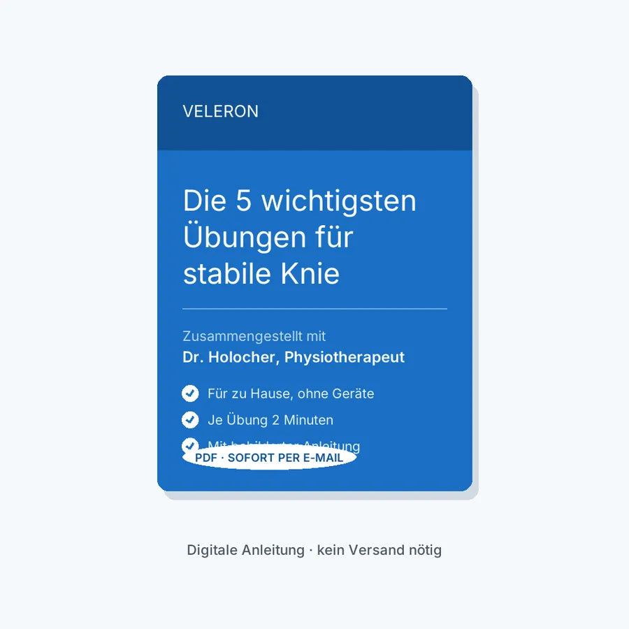 Übungsprogramm (PDF)
